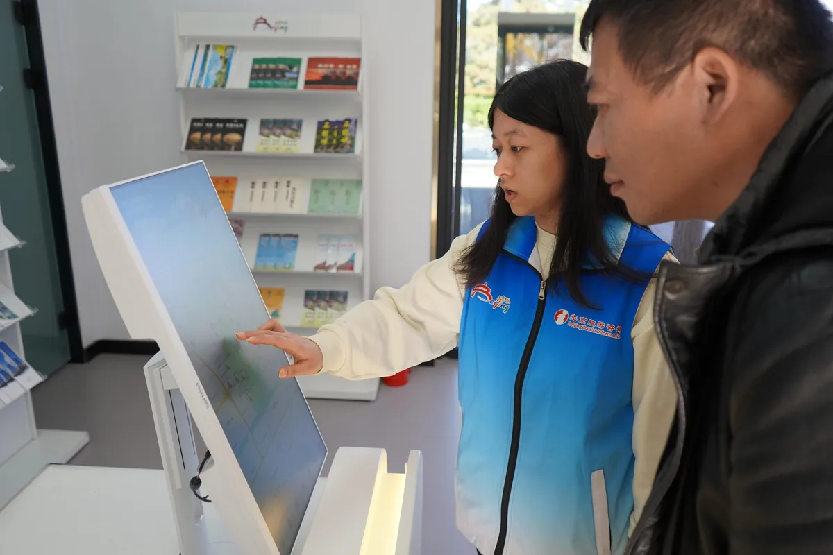 Travelers checking company information with a travel service consultant